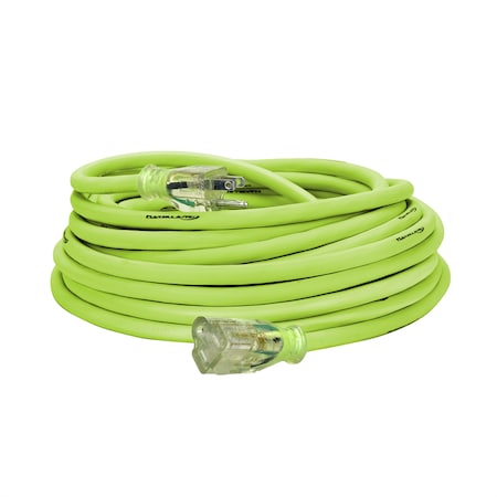 Legacy SJTW Extension Cord, 12 AWG, Outdoor, 12/3, 1 Outlets, 50 ft FZ512830